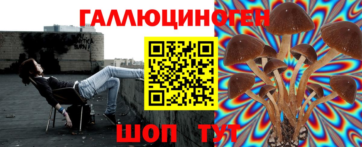 Галлюциногенные грибы Magic Shrooms Нижний Новгород